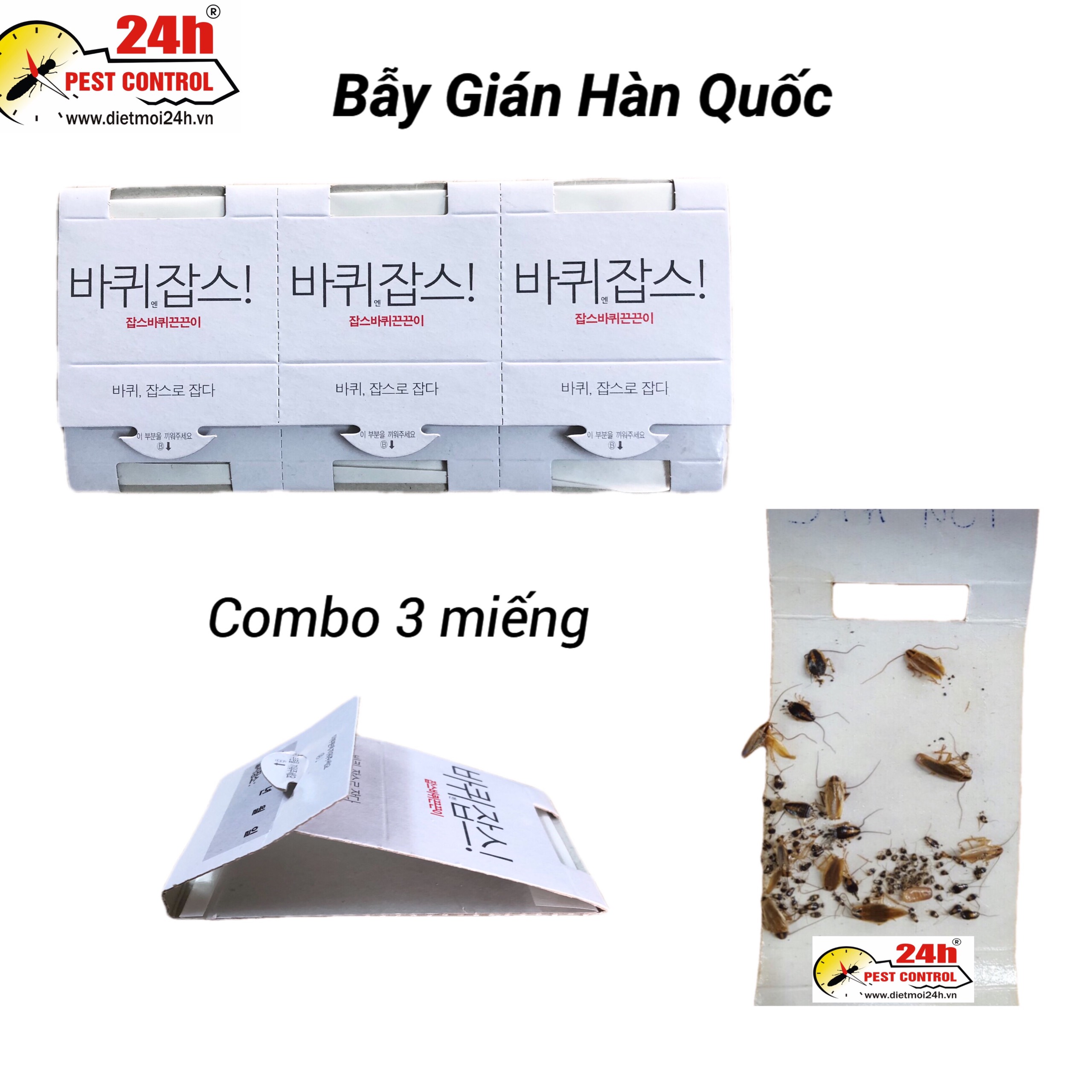 Combo 3 bẫy gián Hàn Quốc siêu dính, diệt gián hiệu quả, chất lượng tốt