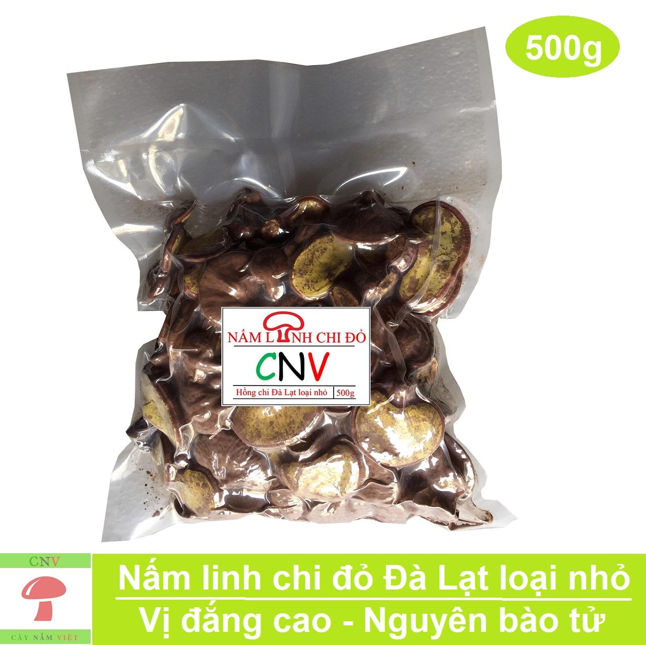 Nấm linh chi đỏ Hồng Chi Đà Lạt loại nhỏo 500g (vị đắng cao) - Cây Nấm Việt