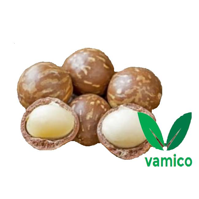 Thanh an macca sạch 500gr size nhỏ, sấy nứt vỏ lâm đồng, macadamia kèm lẫy