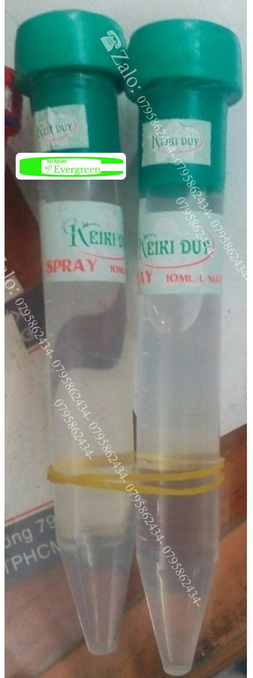 Kei Duy xanh giúp ra Kei hoa lan