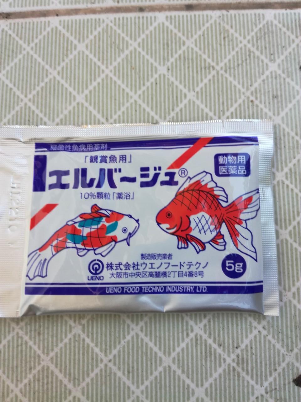 [HCM]Te tra  Nhật Dành Cho Cá B.ệ.n.h Nấm