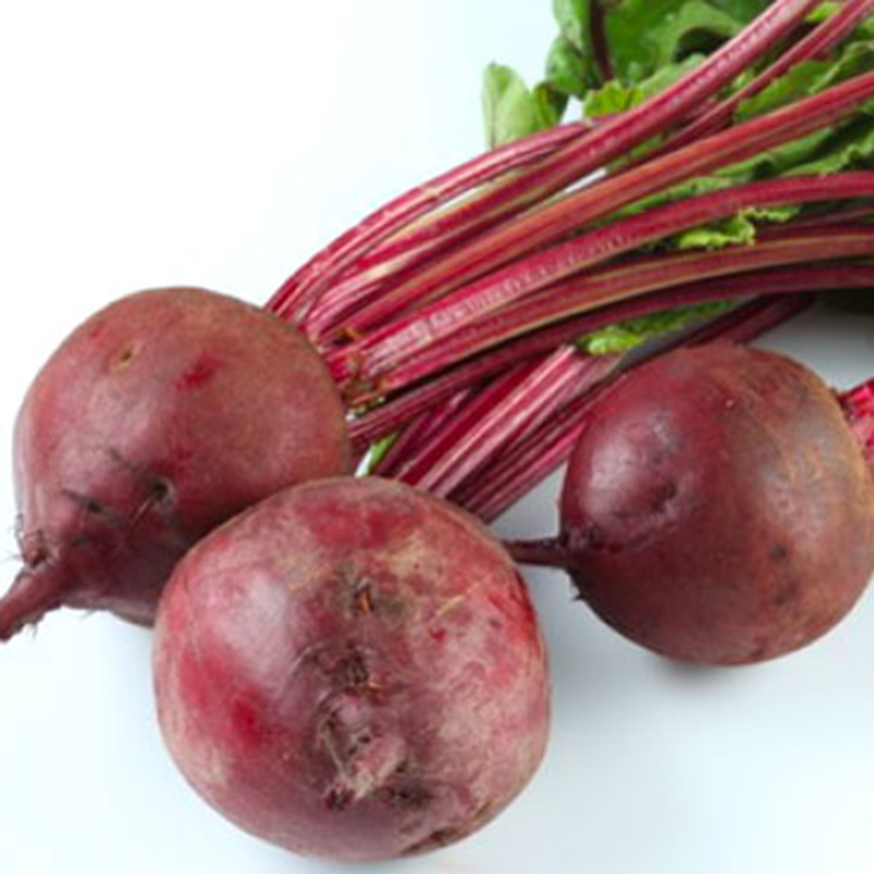 Hạt giống Củ dền đỏ VTP21 | Vạn Tín Store