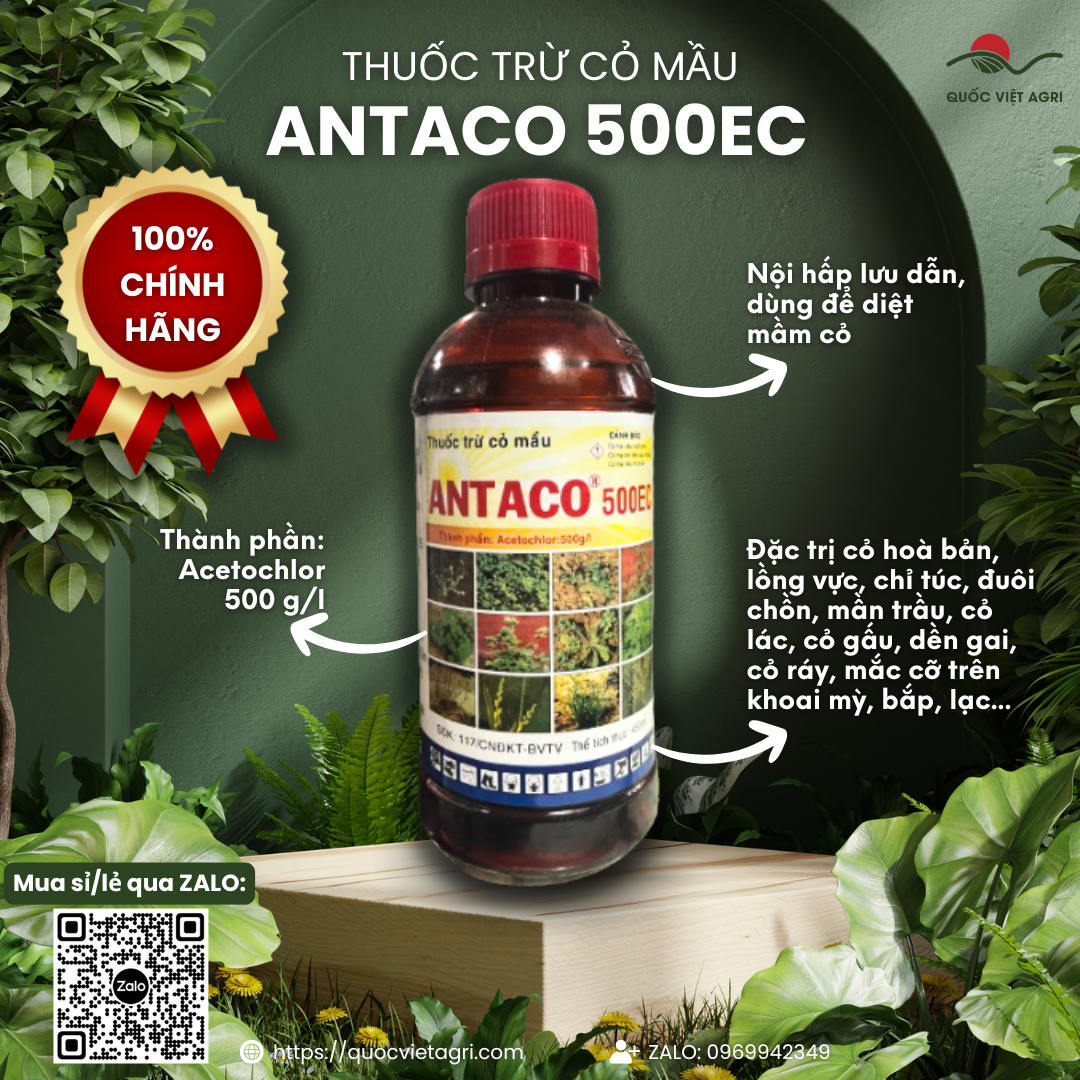  Thuốc trừ cỏ mầu ANTACO 500EC  chai 450ml  - Acetochlor 500g l Trị cỏ lá rộng lá hẹp trên khoai mỳ đậu phộng bắp 