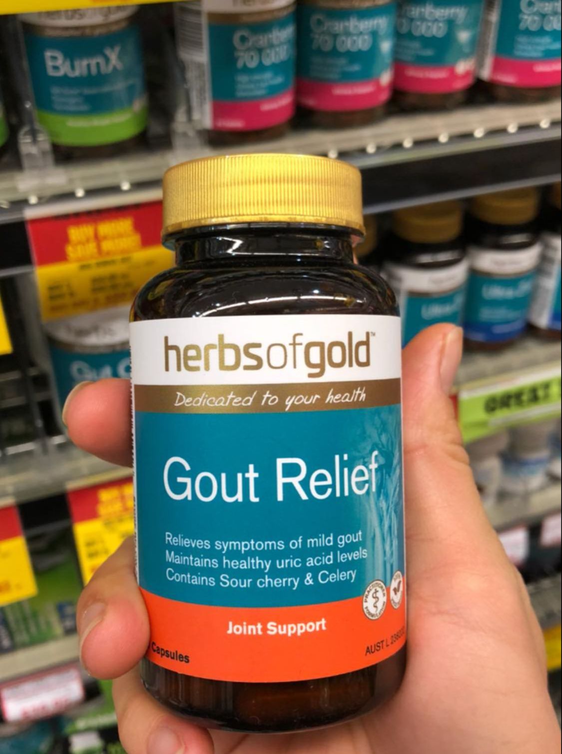 Gout - herb of gold gout relief 60v mẫu mới