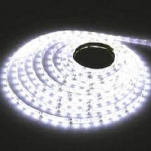 Cuộn led dây dán 5m 5050 12v