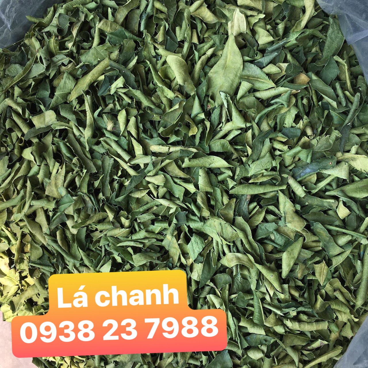 Lá chanh sấy khô, bao 10kg chế biến khô gà - khô bò