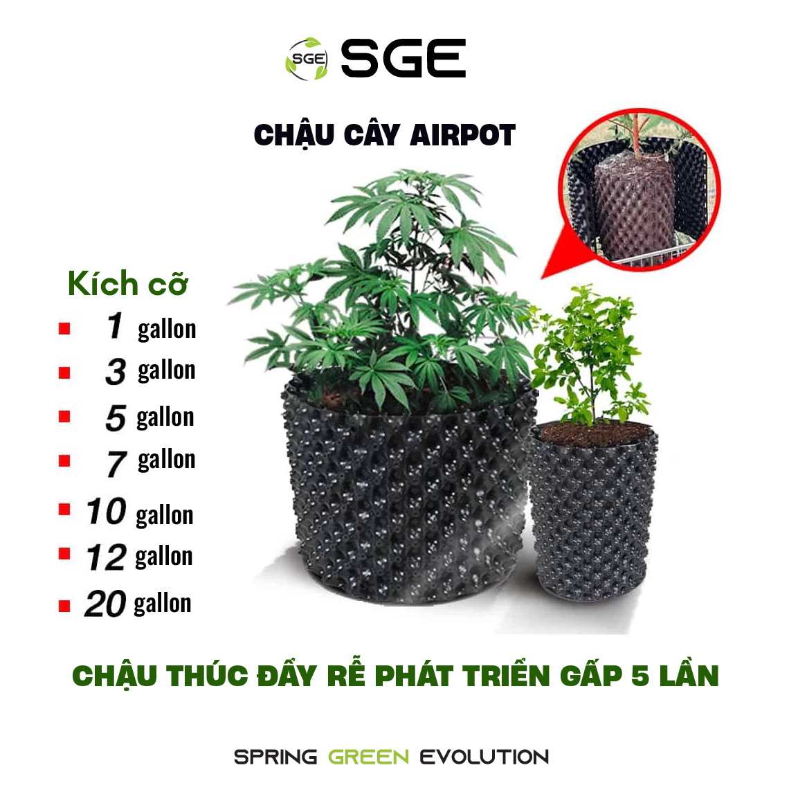 Chậu Nhựa Trồng Cây SGE AP Chất Liệu HDPE Cao Cấp Dễ Tháo Lắp, Lỗ Thoáng Giúp Cây Sinh Trưởng Nhanh Chống Thối Rễ Và Nấm