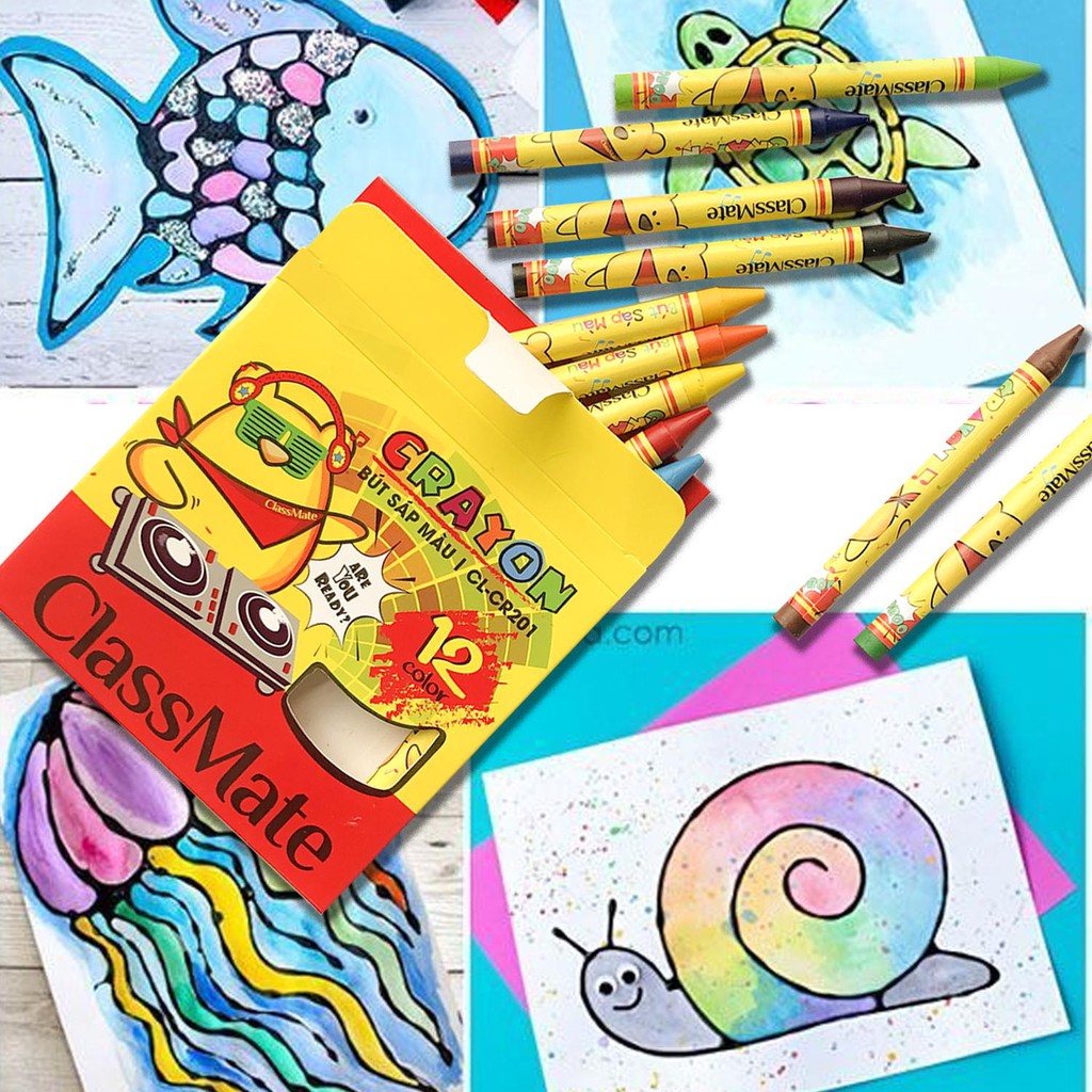 Bút sáp 24 màu ClassMate, bút sáp tô mầu cho bé, phấn mầu, sáp mầu, viết sáp, tập tô, mầu tô, bút chì mầu _ Loki Home