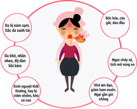 VIÊN ĐIỀU HUYẾT THUỶ MỘC ĐƠN BRIAR Tặng 1 viên đặt Briar pk