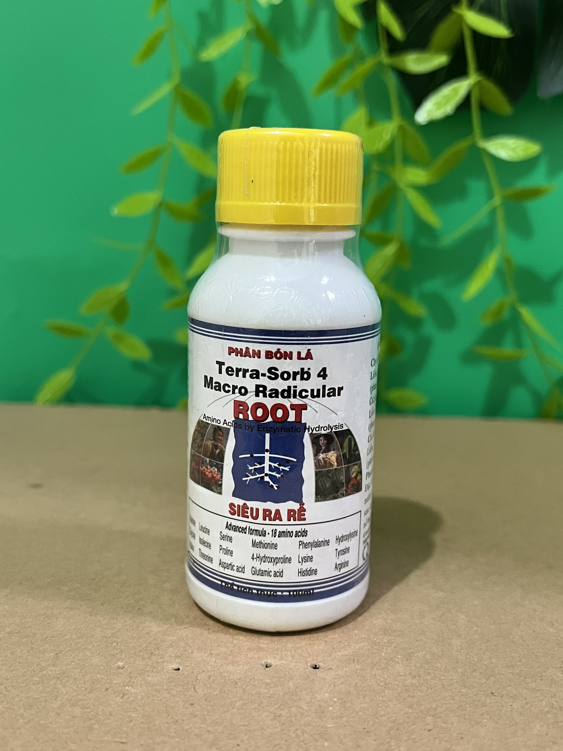 Tera Sorb 4 giúp cây nhanh ra rễ, nhiều rễ dành cho phong lan cây cảnh