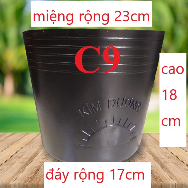 Combo 30 cái chậu nhựa đen c9 trồng cây hiệu kim dương