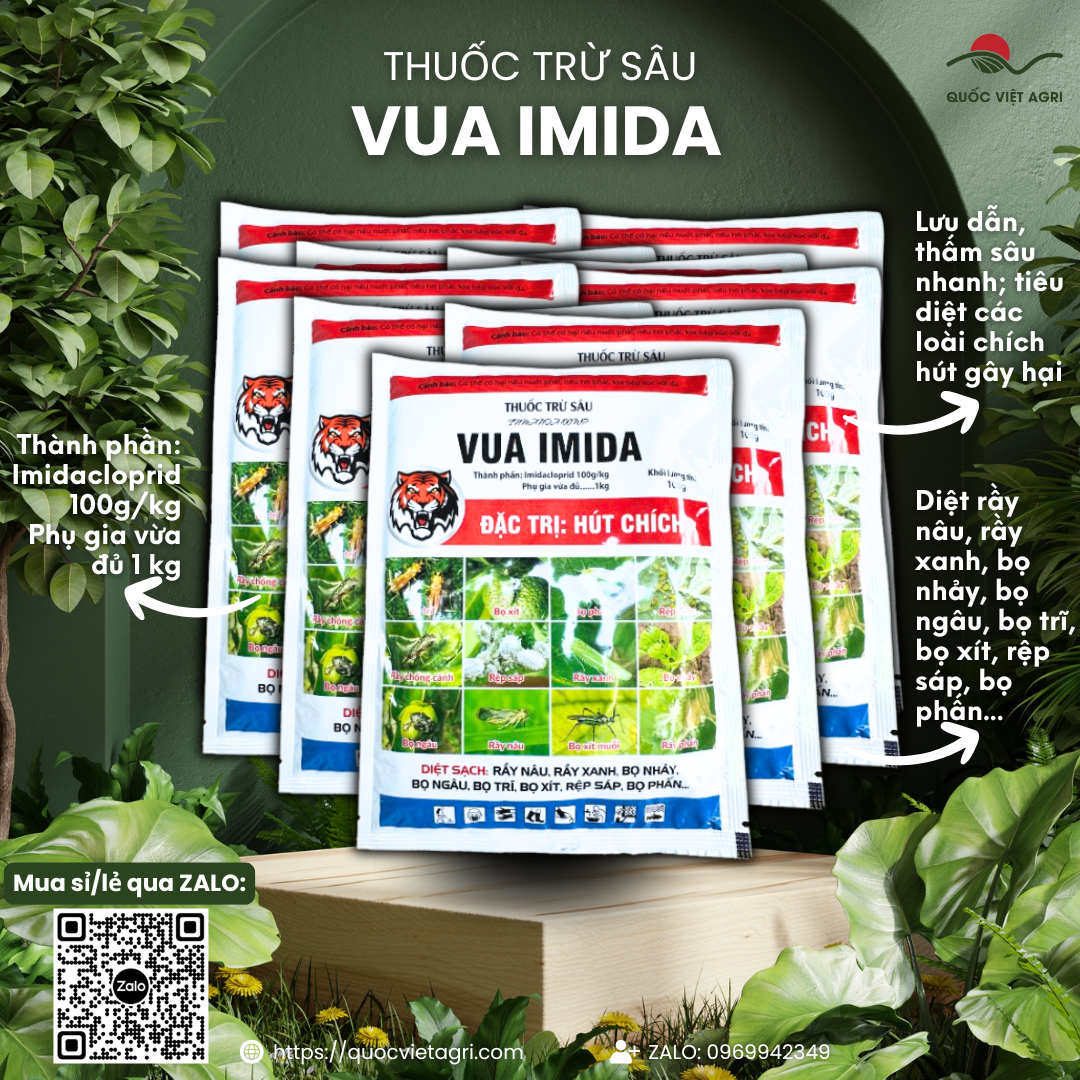   Combo 10 gói  Thuốc trừ sâu VUA IMIDA  gói 100g  - Imidacloprid 100g kg Diệt sạch chích hút bọ trĩ rầy nâu rầy xanh 