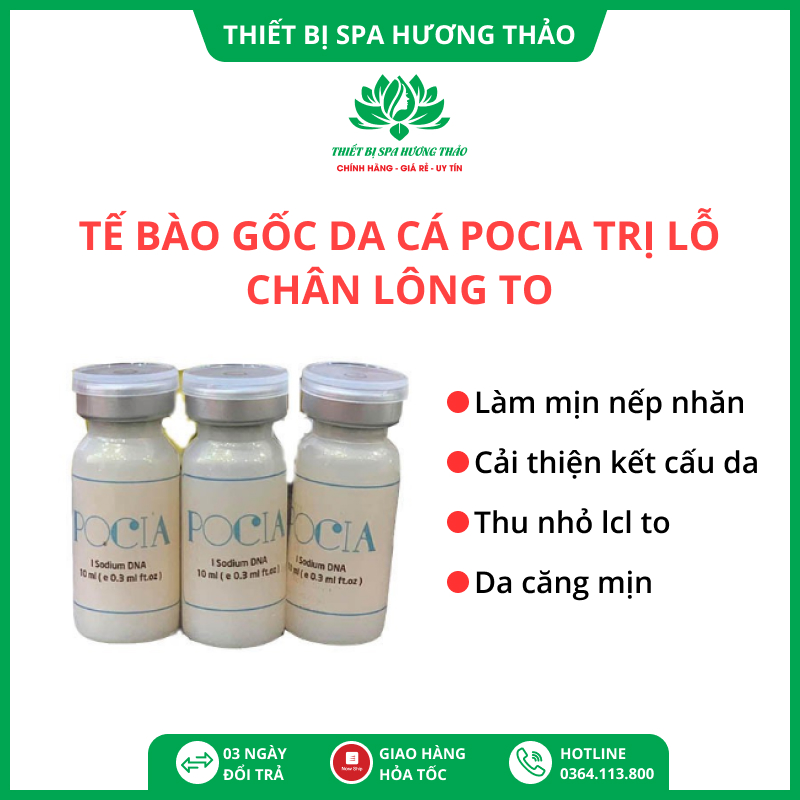 Tế bào gốc da cá Pocia thu nhỏ lỗ chân lông to