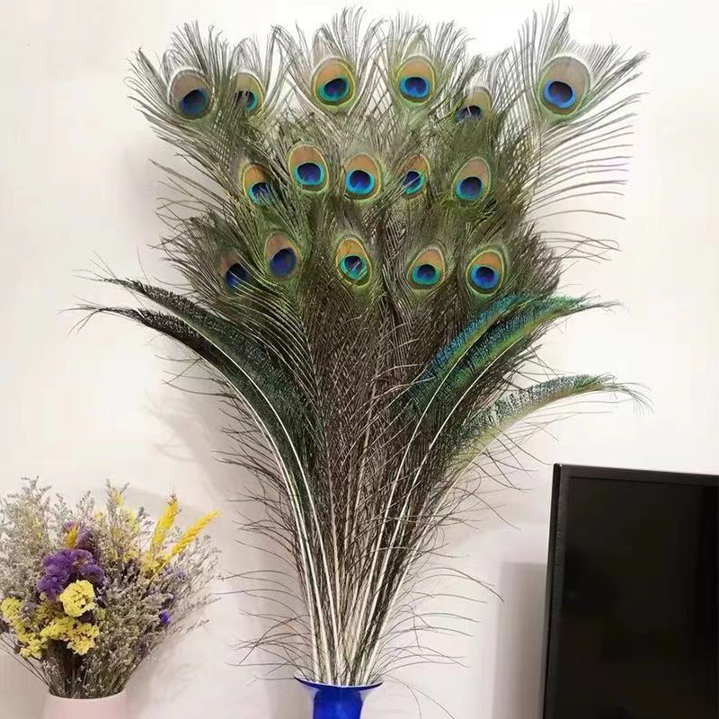 Lông công cắm bình.