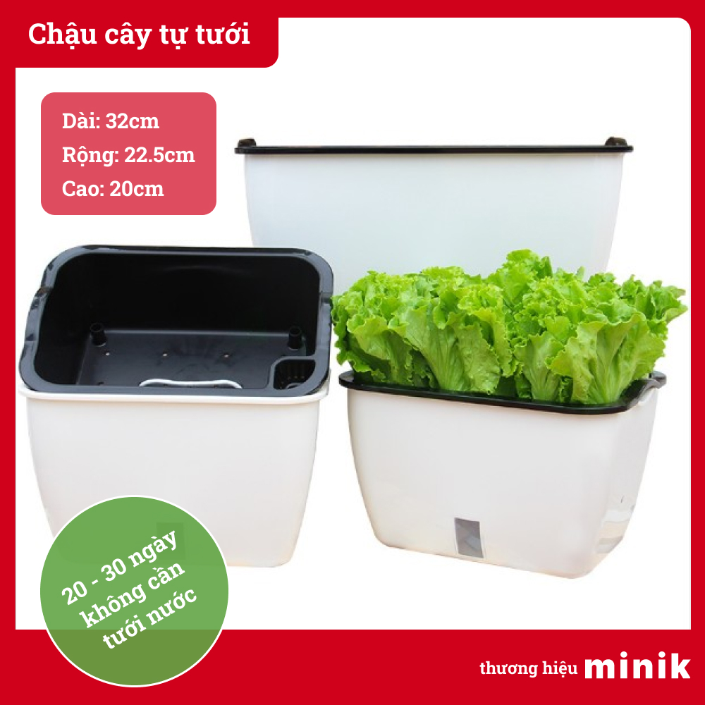 Chậu trồng rau, trồng cây tự dưỡng MINIK, kích thước lớn, với thiết kế thông minh tự tưới, thích hợp để trong nhà hoặc ban công, 14 - 21 ngày không cần tưới nước