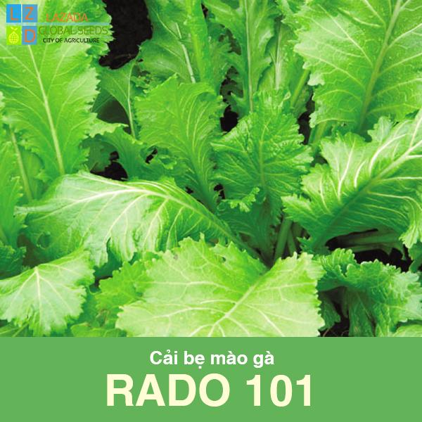 [HCM]Cải bẹ mào gà Rado 101 -hạt giống rau ăn lá -gói 20 gram .