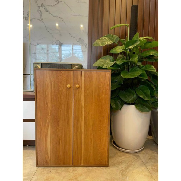 Tủ giày 2 ngăn cánh gỗ
