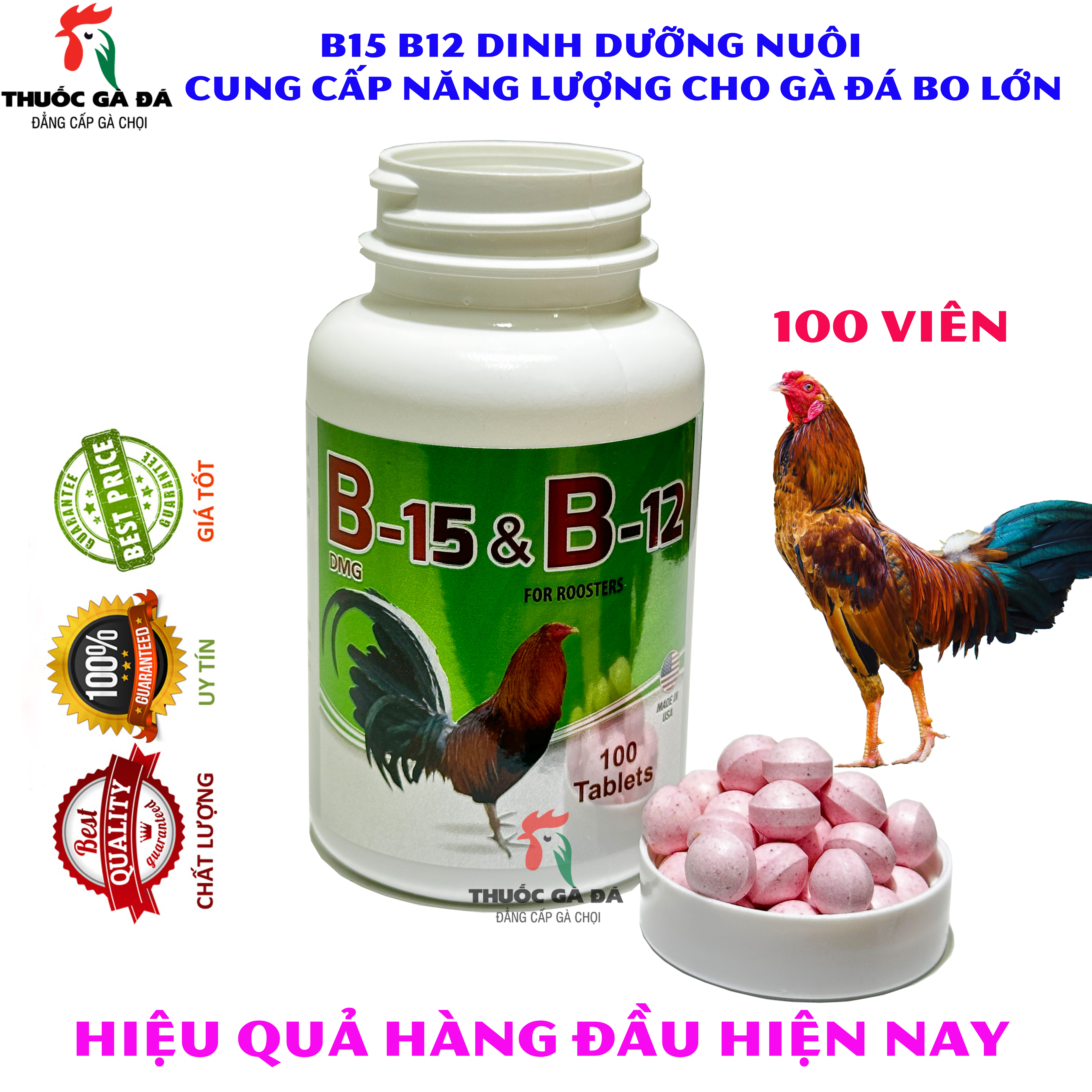b12b15 nuôi gà tơ vào chế độ đá,hộp 100v