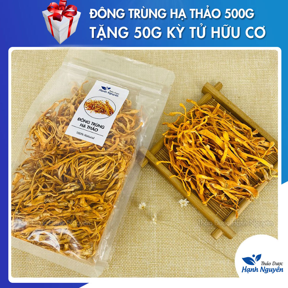 Đông trùng hạ thảo khô 500g - Thảo Dược Hạnh Nguyên