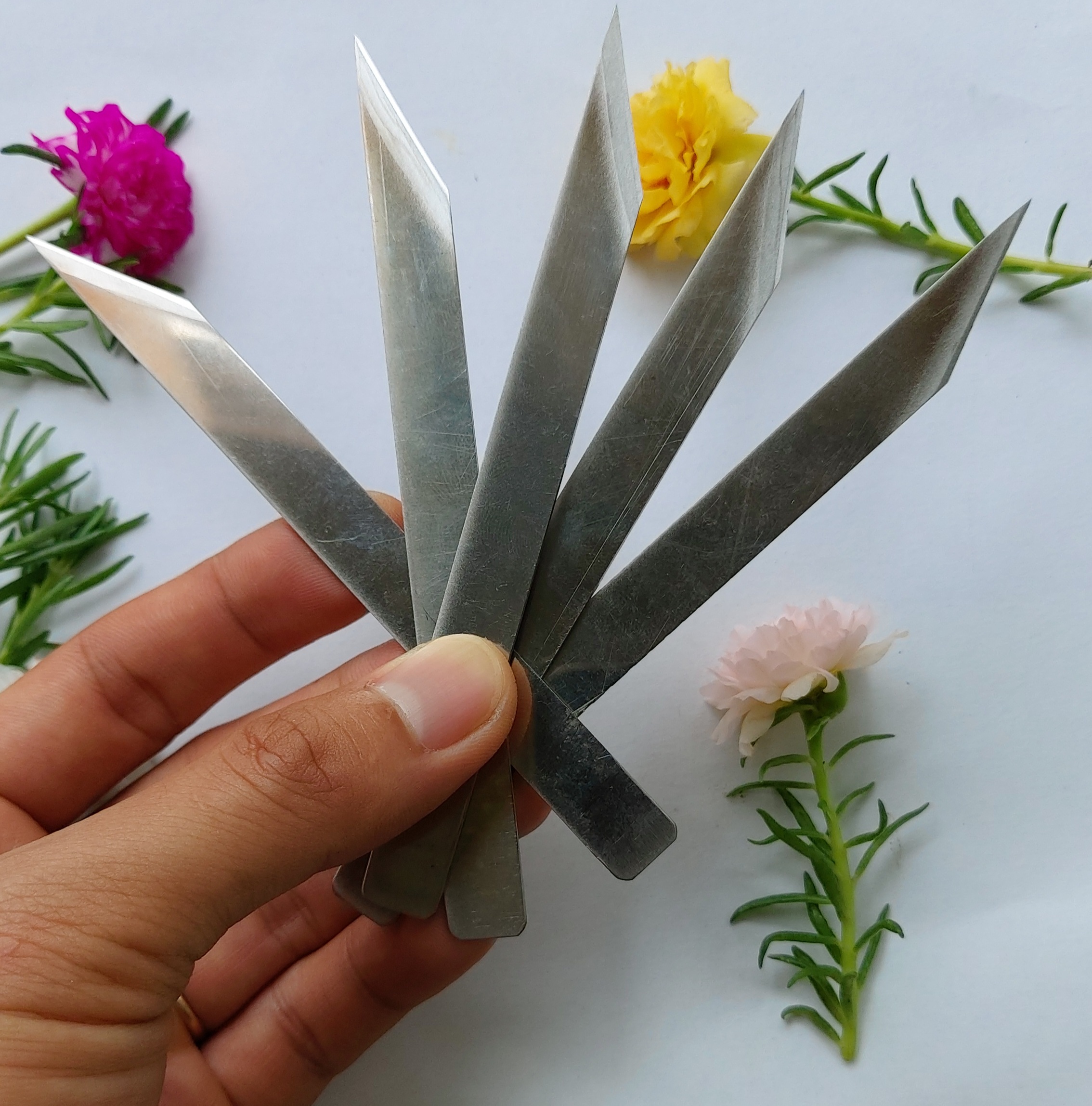 Dao cở lớn xẽ lưng tôm, dao bản lớn xẽ tôm