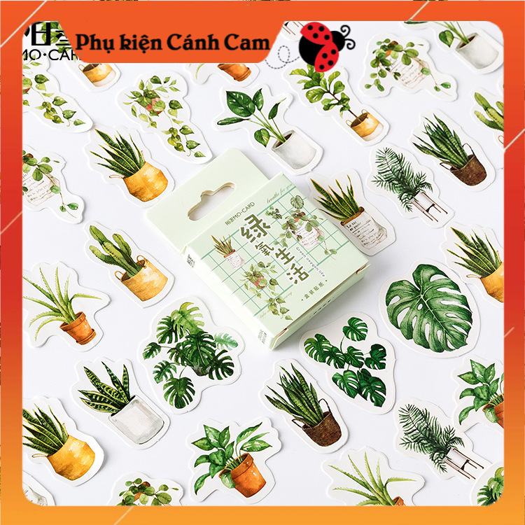 Sticker Hộp 45 Miếng Dán Dễ Thương Chủ Đề Lá Cây Vintage - Phụ kiện Cánh Cam