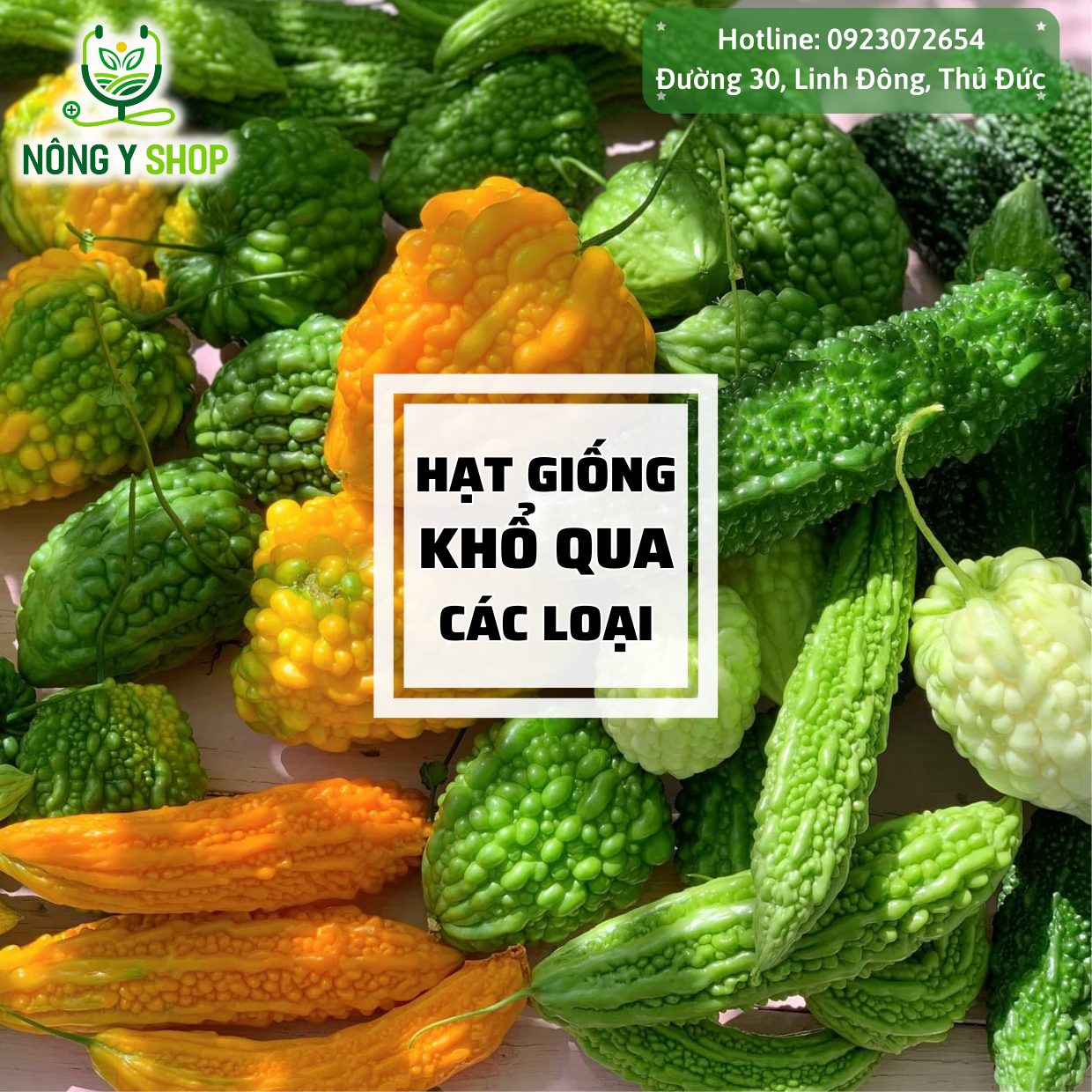 Hạt giống các loại khổ qua, mướp đắng Rạng Đông, khổ qua trái dài, khổ qua rừng, khổ qua bến tre