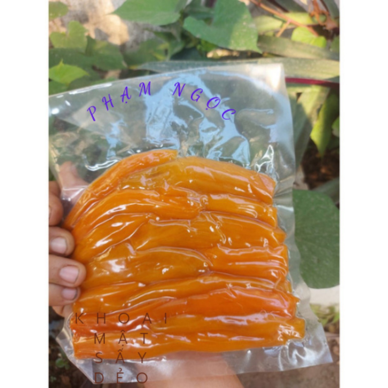 Khoai lang mật sấy nguyên củ - củ sâm