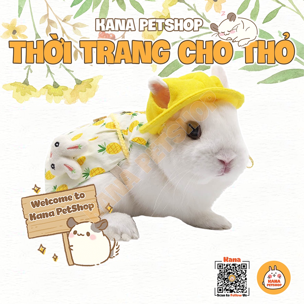 Dây dắt set váy áo quần cho thỏ 🐹 freeship 🐹 dây dắt váy công chúa nhiều họa tiết cho thỏ, sóc, mèo , chó nhỏ ....