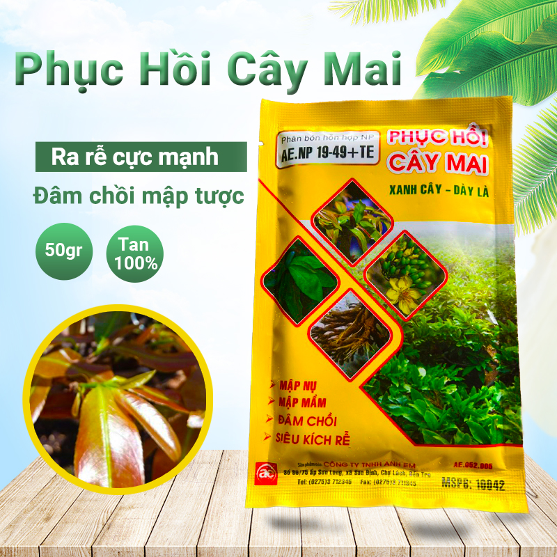 Phân bón phục hồi cây mai vàng, kích rẽ cực mạnh, bung chồi mập đọt, đâm tược đẻ nhánh, phục hồi cây (50gr)