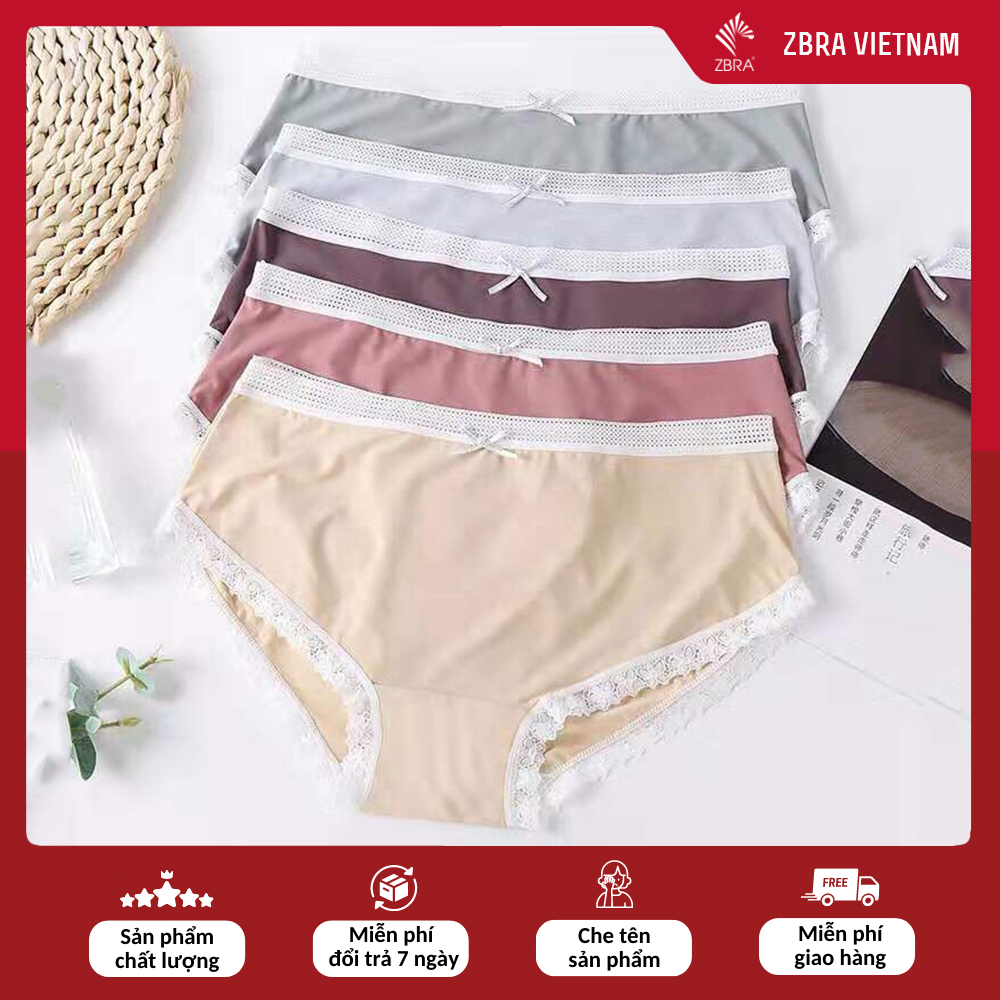 Quần lót nữ su Combo 5 Quần chip nữ, quần phối viền ren thời trang, chất su mềm mịn Zbra - ZQ1009