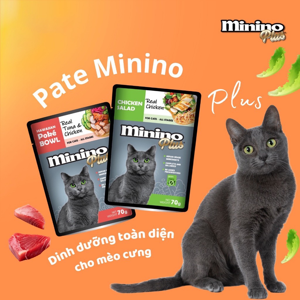 Pate Minino Plus Cho Mèo Mọi Lứa Tuổi 75G