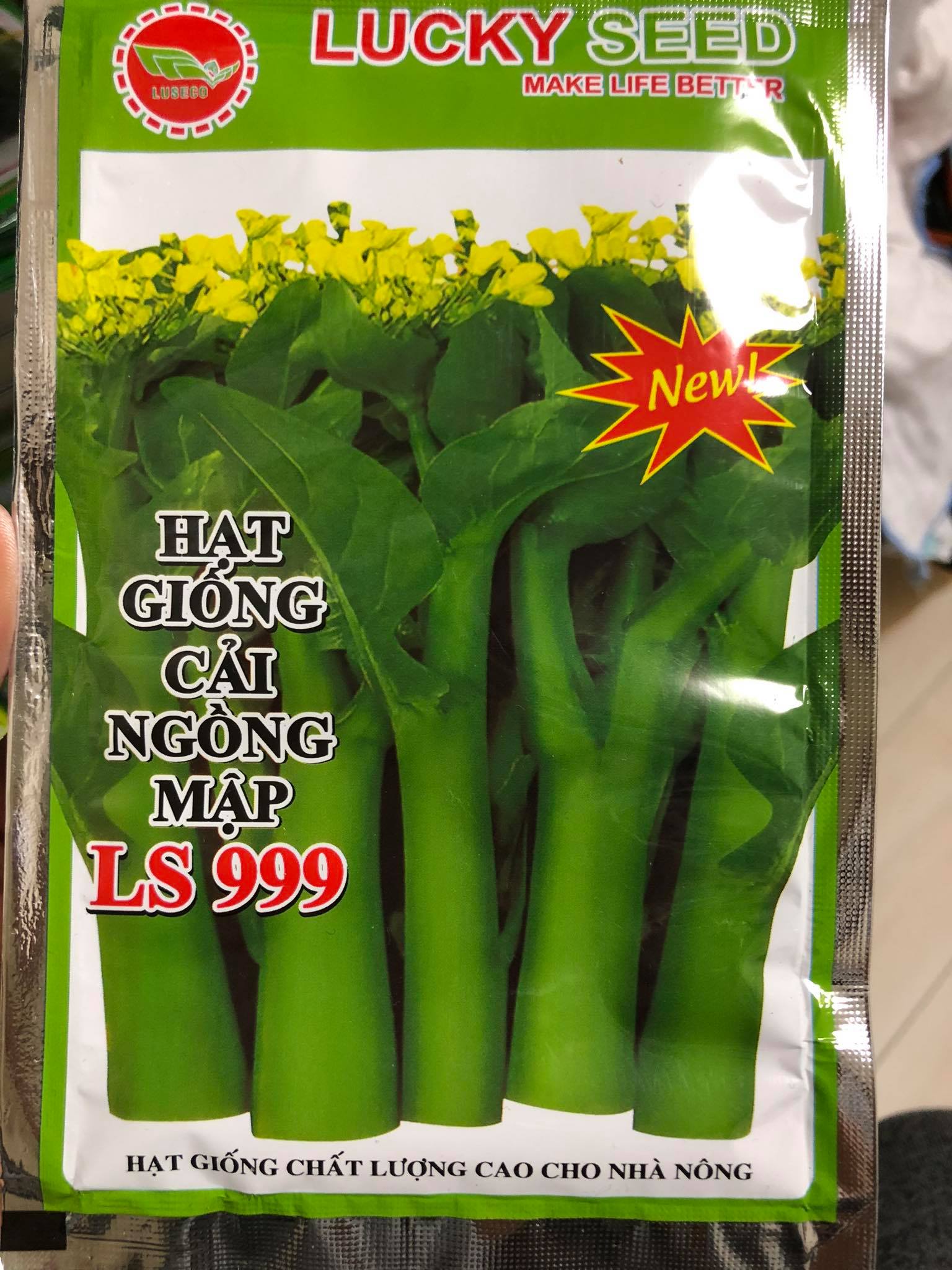 Hạt giống cải ngồng xanh thân mập - gói 20g siêu nhiều hạt - cải ngọt, ăn được cả thân, lá, hoa
