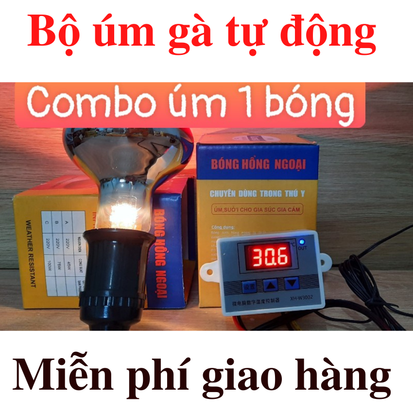 Bộ úm gà tự động điều chỉnh nhiệt độ cho gia súc, gia cầm