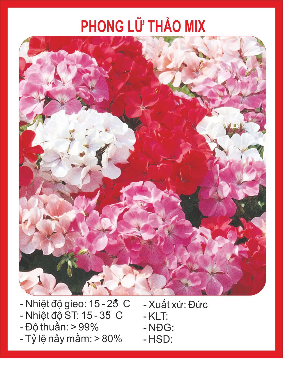 Hạt giống hoa phong lữ mix 10 hạt
