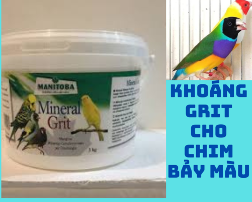 Khoáng Grit cho chim bảy màu và các loại chim cảnh khác. Sản xuất tại Ý. bịt lẻ 500gr/70k