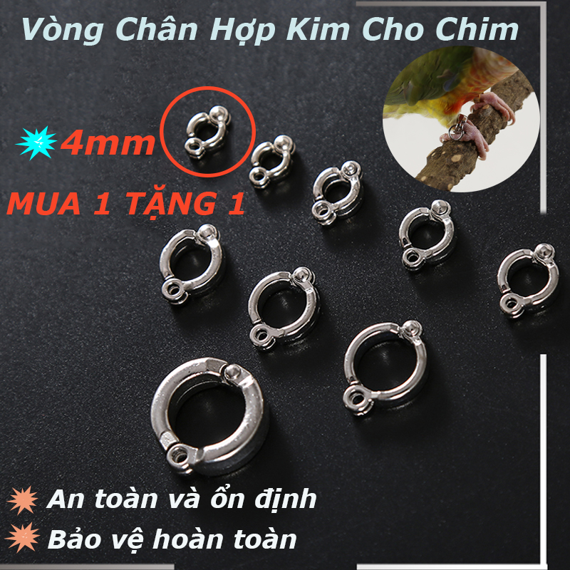 4mm Vòng chân cho vẹt Nhẫn đeo chân bằng Inox đeo xích cho chim vẹt