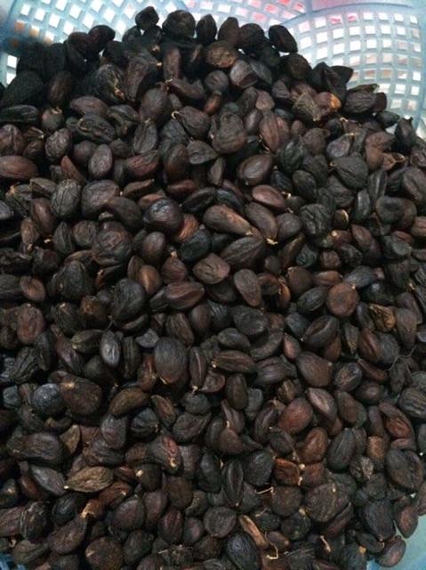 50g hạt dổi nếp loại 1