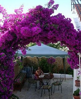 mAeen348YKtcUAkm8D67_simg_d0daf0_800x1200_max.jpg