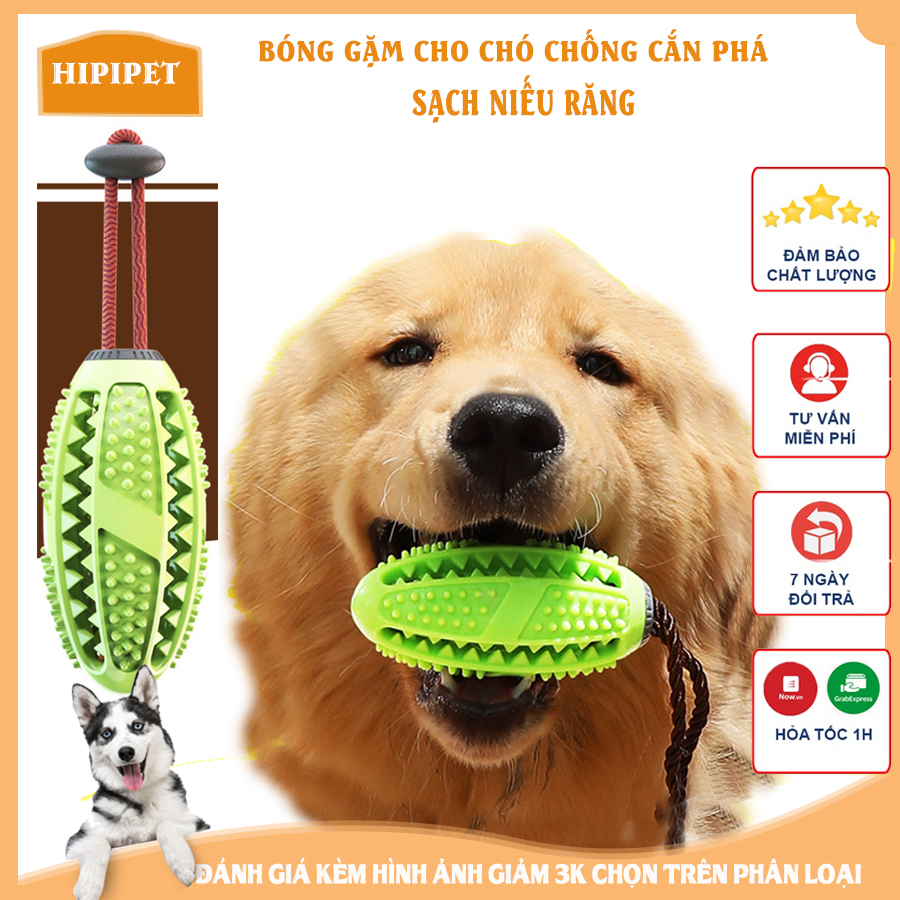 Quả Bóng đồ chơi cho chó thú cưng cao su đựng thức ăn huấn luyện chó mèo Bóng kẹp hạt thức ăn_CM22