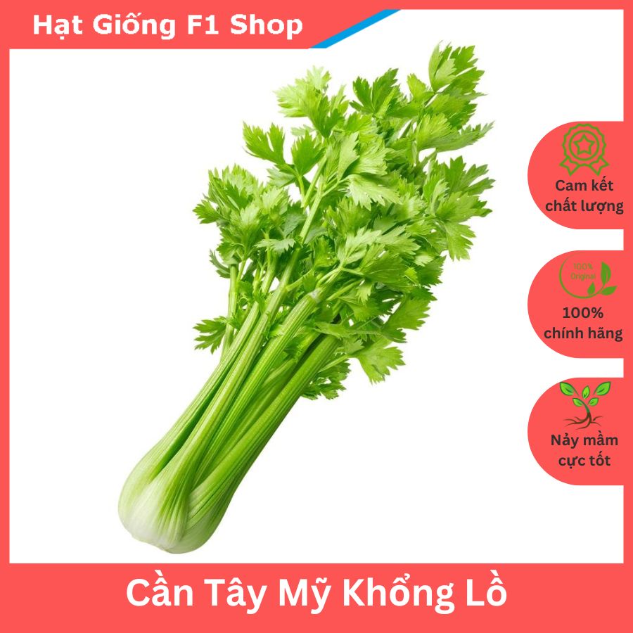 Hạt giống cần tây mỹ khổng lồ dễ trồng