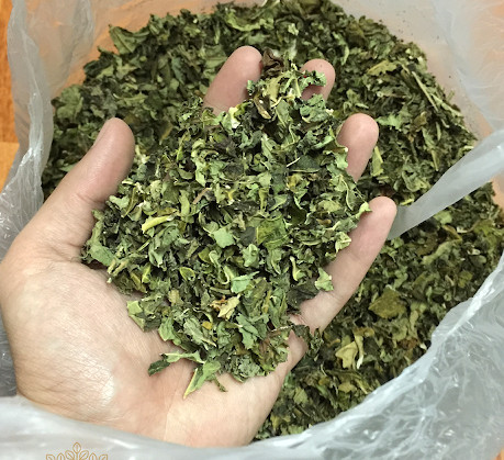 1kg Lá đu đủ đực khô, sạch sẽ thơm