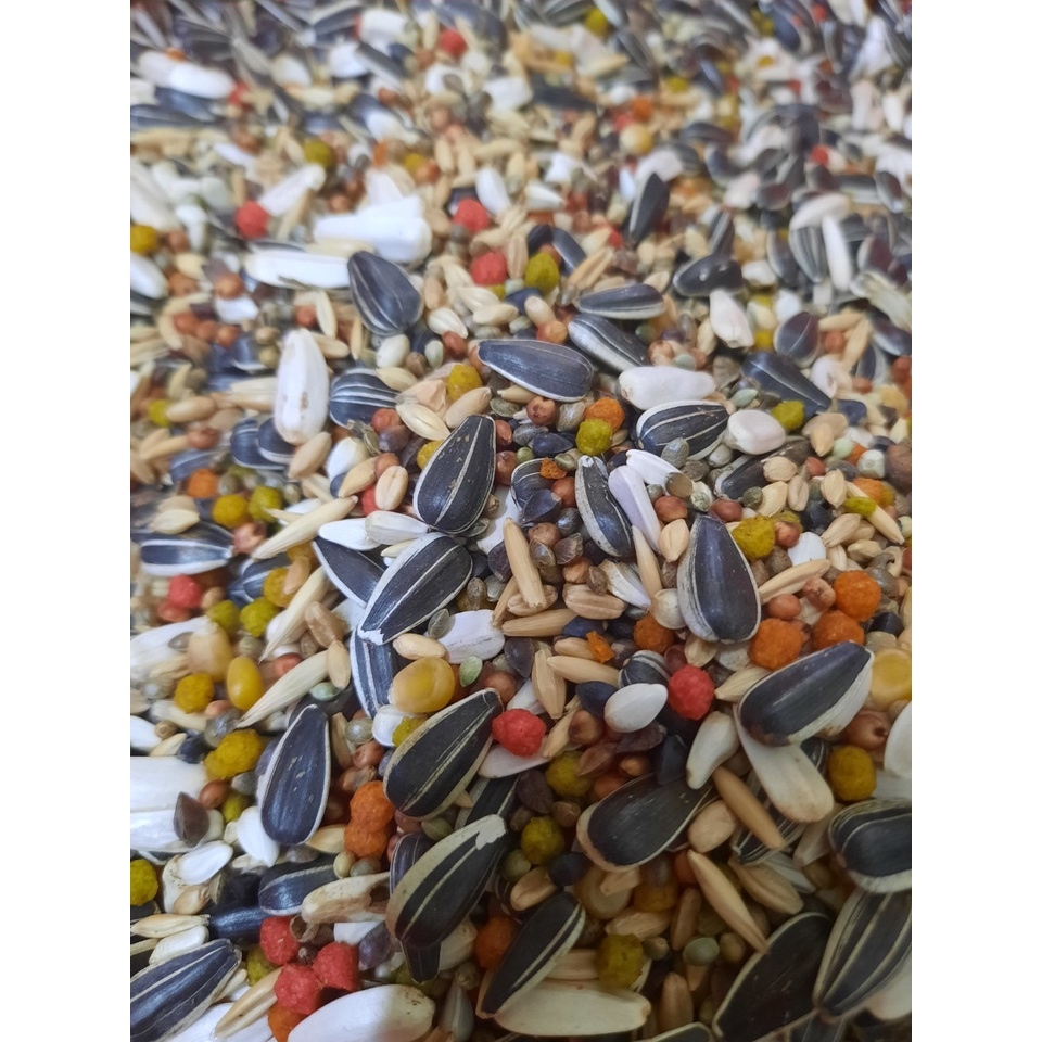 HẠT TRỘN CHO VẸT SUN XÍCH XÁM CHÂU PHI...gói 1kg