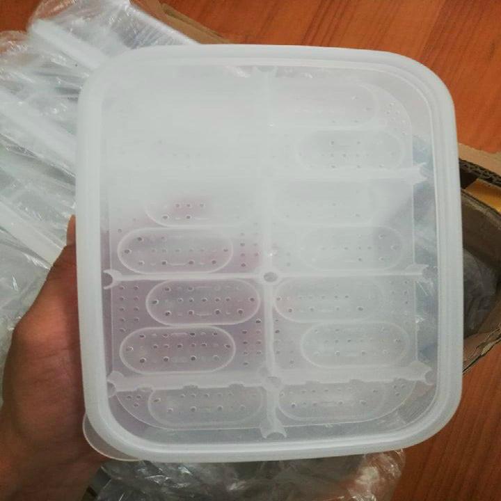 [HCM]Hộp ấp trứng cao cấp chuyên dụng cho bò sát cảnh