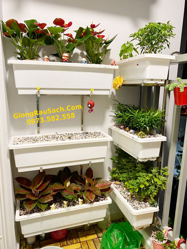 Giá Treo Chậu Hoa Chậu Trồng Rau Ban Công 3 Tầng Bằng Inox cho chậu dài 67