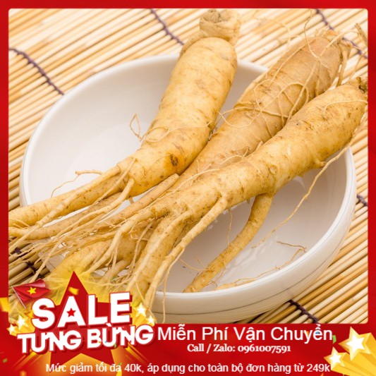 Hạt giống nhân sâm hàn quốc - 4 hạt