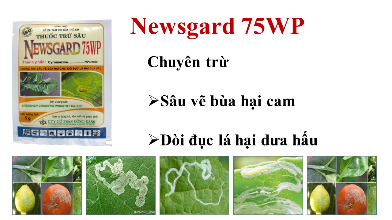 Sản phẩm diệt côn trùng trên cây trồng Newsgard 75WP - 5 gam chuyên trừ Sâu vẽ bùa hại cam quýt, Dòi đục lá hại dưa hấu, dưa leo, cà chua, ớt,...