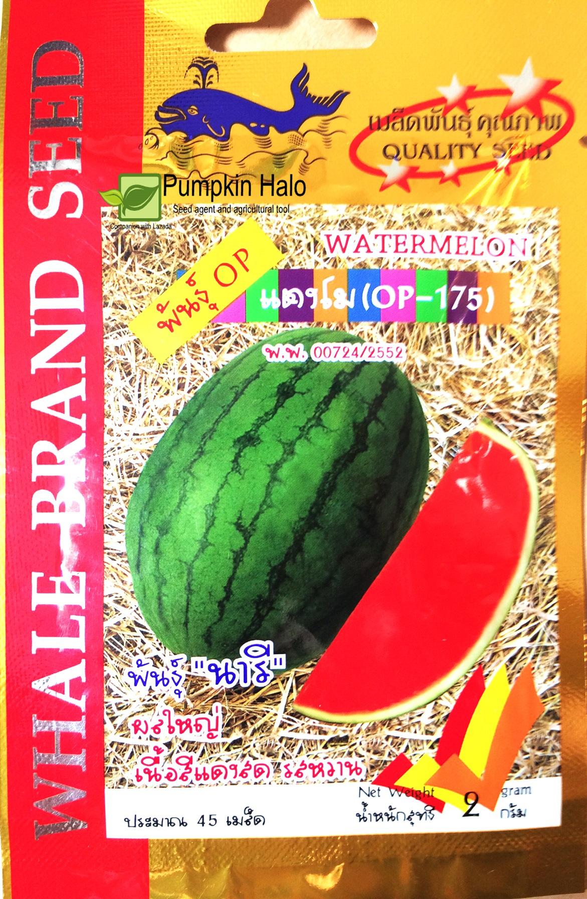 [HCM]DƯA HẤU KHÔNG HẠT QUẢ TRÒN SỌC  - HẠT GIỐNG THÁI - GÓI 45 HẠT .