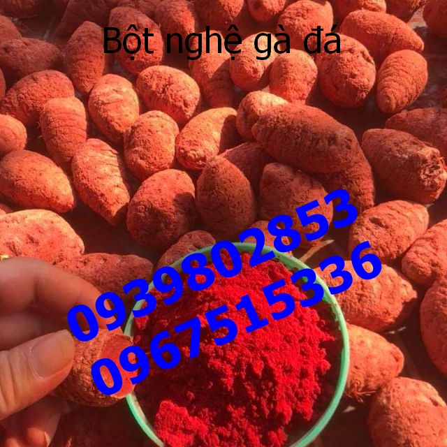 Nghệ đỏ củ cho gà đá 1 ký