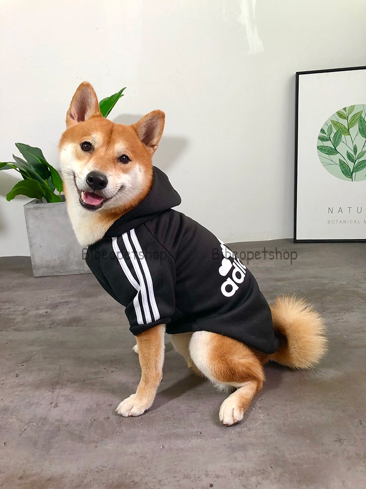 Áo cho chó lớn, quần áo cho chó mùa đông size lớn