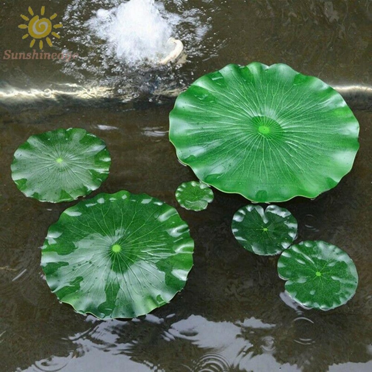 Lá sen nổi trang trí hồ cá